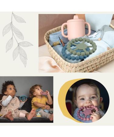 2-Pack Silicone Sensory Teething Rings for Babies | BPA & Phthalate-Free Chew Toys | Princess Color - Buy Online on GoSupps.com