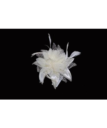 Cream chiffon flower & feather fascinator on comb. Perfect for weddings races or other special occasions. - Buy Online on GoSupps.com