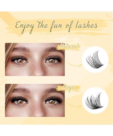 DIY Eyelash Extensions Kit QUEWEL 144 Pcs Lash Clusters Eyelash Clusters Golden Tweezer Cluster Lashes Bond and Seal Waterproof Clusters Lash Glue Remover for DIY Lash Extensions (QU-RR-DH-01) 1 Count (Pack of 1) DIY Lash Extensions Kit-RR01 - Buy Online on GoSupps.com