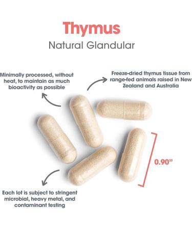Allergy Research Group Thymus Supplement - Thymus Tissue Glandular Extract 1000mg Raw Thymus Glandular Ovine Lyophilized Hypoallergenic - 75 Count - Buy Online on GoSupps.com