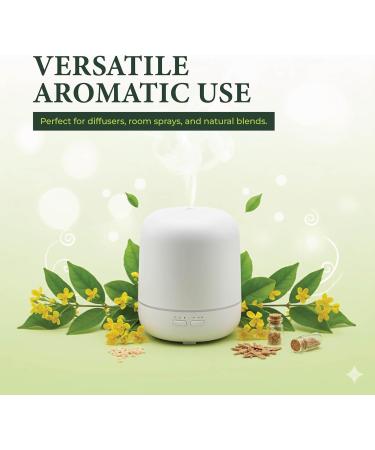 May Chang Essential Oil (Litsea Cubeba) 100% Pure and Natural Steam Distilled from Fruits Fresh Citrus Aroma Ideal for Aromatherapy Skincare and Massage Blends China - 2 Fl Oz 2 Fl Oz (Pack of 1) - Buy Online on GoSupps.com