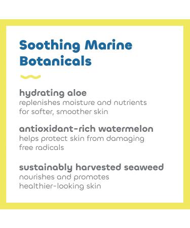 Seaweed Bath Co. Active Defense SPF 50 Sport Broad Spectrum Hybrid Sunscreen Cream - 3.4oz - Sustainably Harvested Seaweed, Aloe & Watermelon - Buy Online on GoSupps.com