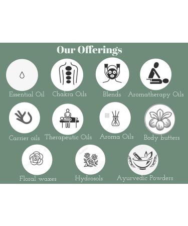 Deve Herbes Pure Sandalwood Floral Water (Hydrosol) (Santalum Album) Natural Therapeutic Grade for Skin - 100ml (3.38 oz) 100ml (3.38 oz) Sandalwood Floral Water - Buy Online on GoSupps.com