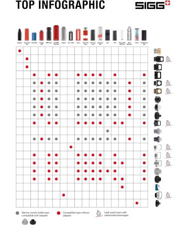 Buy SIGG Hot & Cold Top Black Closure | Leak-Proof Replacement for Thermos Bottles (0.3 & 0.5 L) - Portable & Durable - Buy Online on GoSupps.com