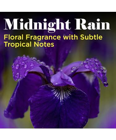 Buy 1 Gallon Keratin Conditioner - Midnight Rain Fragrance | Repair Damaged Coats with Hydrolyzed Protein | 16:1 Dilution - International Shipping Available - Buy Online on GoSupps.com