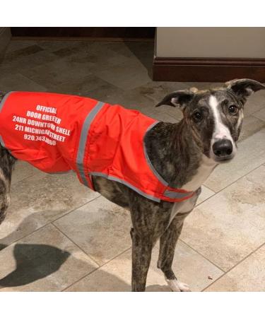Flexi-Print Hi Vis Reflective Dog Coat - Personalized Service Dog Vest for Nervous & Reactive Dogs | Yellow Large - Buy Online on GoSupps.com
