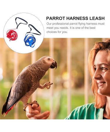 2pcs Harness Adjustable Bird Blue Leash Conure Lovely Traction Wing Training Conical with Pet for S Assorted Color - Buy Online on GoSupps.com
