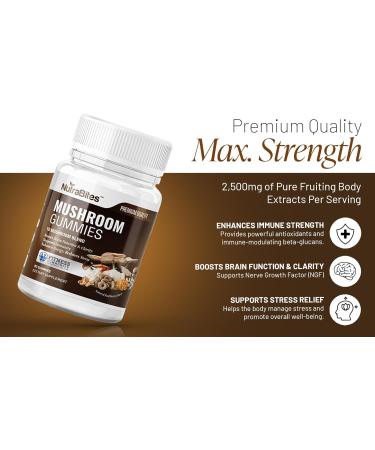 NutraBites Mushroom Gummies for Brain Immune & Energy Support - 10-Mushroom Fruiting Body Blend with Lion's Mane - Cognitive Focus & Stress Relief - Vegan & Non-GMO - Delicious Raspberry (60 Count) - Buy Online on GoSupps.com