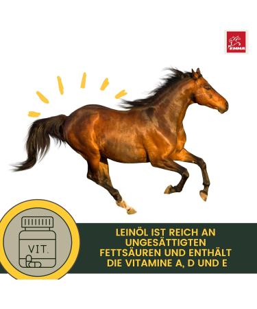 Linseed Oil Horses Dogs Cats I Barf Oil I Linseed Oil Horse Oil Omega 3 I Fatty Acids 3 6 I Cold Pressed 100% Coat Shiny Skin - Buy Online on GoSupps.com