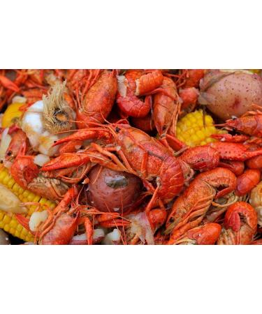 Chefs Quality Cajun Seasoning 6 LB - Authentic Blend for Flavorful Dishes - Buy Online on GoSupps.com