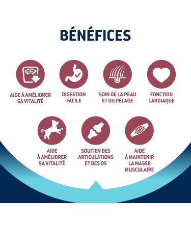 Advance Medium Senior - Croquettes for Senior Dogs (+7 years) of Medium Breed with Chicken - 3kg - Buy Online on GoSupps.com