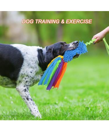 Tekcam 2 Pack Dog Tug Toys - Squeaky Agility Rope Toys for Small & Medium Dogs | Interactive Outdoor Fun - Buy Online on GoSupps.com