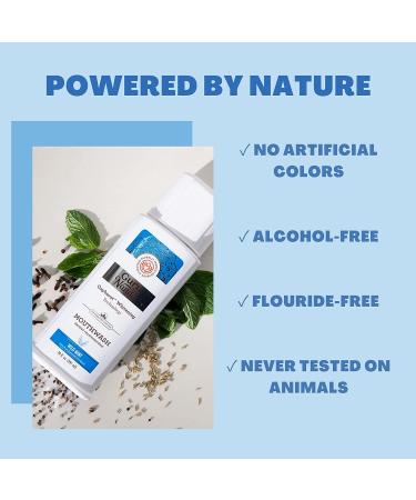 GuruNanda Oxyburst Teeth Whitening Mouthwash - 20 Fl.Oz. Wild Mint - Alcohol & Fluoride Free | Dentist Recommended Mouth Rinse with Essential Oils - Vitamin D & E | Pack of 1 - Buy Online on GoSupps.com