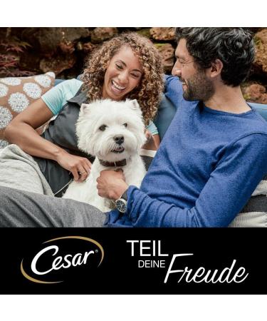 Cesar Selection in Sauce Premium Wet Dog Food - 4 Varieties 40x100g Portion Bags for International Shipping - Buy Online on GoSupps.com