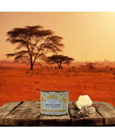 Shea Terra Organics 100% Organic Cold-Pressed Virgin Shea Butter - Ghana Gold 6 oz | Natural Skin Cream for Dry, Itchy Skin, Stretch Marks, Psoriasis, Eczema - Buy Online on GoSupps.com