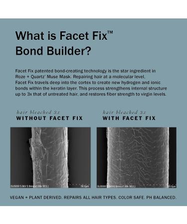 Roze + Quartz Muse Hair Mask with Facet Fix Bond Builder - 8.5 oz for All Hair Types - Buy Online on GoSupps.com