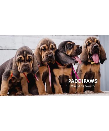 PADDIPAWS High Strength Green Lipped Mussel for Dogs with added Vitamin C - Natural Dog Joint Supplements - Aids Stiff Joints in Dogs - Hip and Joint care for Dogs - 90 Twist and Sprinkle Capsules - Buy Online on GoSupps.com