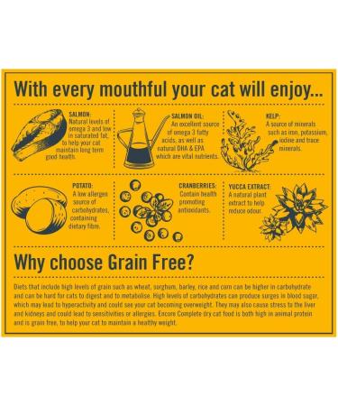 Encore Complete and Grain Free Adult Dry Cat Food Chicken 800 g (Pack of 3) - Buy Online on GoSupps.com
