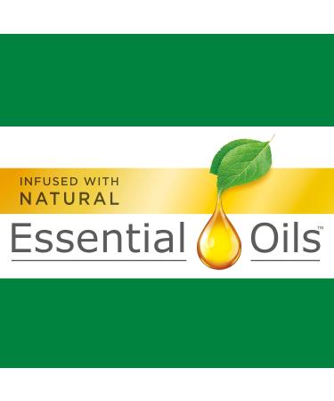 Air Wick Scented Oil Air Freshener Refill - Lavender & Chamomile | 8-Pack - International Shipping Available - Buy Online on GoSupps.com