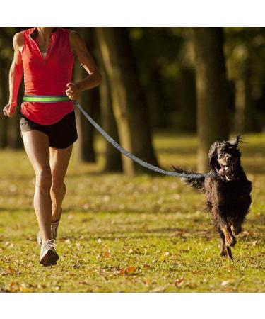 Cadrim Hands Free Dog Lead Walking Belt Ajustable Lead Dog Leash Waist Belt Pet Dog Leash Coupler Running Jogging Walking Dogs Lead Belt Adjustable with 2 Pack Bags and Reflective Strip 38kg (Grey) - Buy Online on GoSupps.com