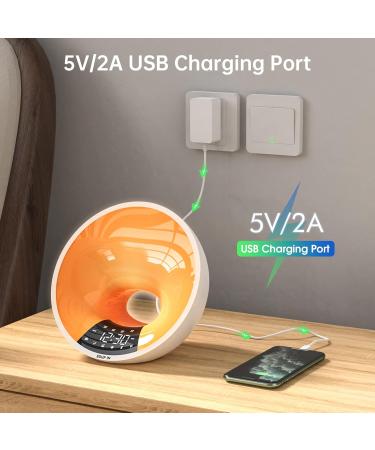 Buy Edup Lichtwecker Wake Up Light - Sunrise Simulation Bluetooth Speaker App Control 4 Alarms 16M Colors 7 Natural Sounds - Dimmable Night Light & USB Radio Adapter - Buy Online on GoSupps.com