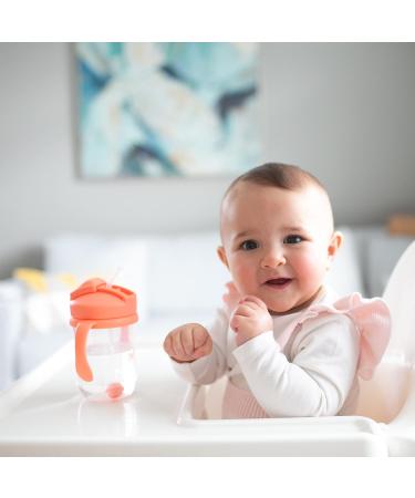 Dr. Brown's Milestones Baby's First Straw Cup Sippy Cup 2 Pack - Coral & Olive Green 9oz BPA Free - Buy Online on GoSupps.com