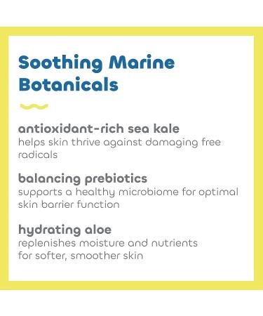 Seaweed Bath Co. Mineral SPF 40 Sunscreen Lotion - 3.4 oz | Broad Spectrum, Vegan, Paraben-Free - Buy Online on GoSupps.com