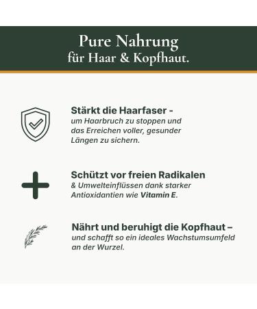 Wellrelaxx Rosemary oil hair rosemary + formula for fullness and growth refined with castor oil almond oil and vitamin E developed and filled in Germany 100 natural hair oil - Buy Online on GoSupps.com