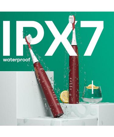 SEAGO Rechargeable Sonic Electric Toothbrush - 30 Days Battery 5 Modes 2 Minute Timer Portable with 8 Brush Heads - Perfect for Adults (Red - Buy Online on GoSupps.com