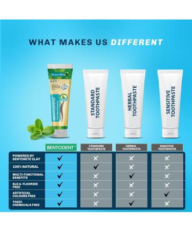 Buy Bentodent Fluoride Free Calcium Bentonite Clay Toothpaste - Natural Family Toothpaste for Kids & Adults | Fresh Breath & Plaque Removal - Premium Mint - Buy Online on GoSupps.com
