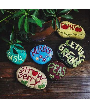 Buy Ksnnrsng Flat Stones for Painting & Garden Decoration - Hand-Picked Gray Pebbles (50-70 mm) - Buy Online on GoSupps.com