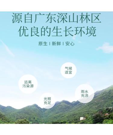 HQZMCTE Natural Chinese Herbal Tea 90g / 3.17oz Dried Longan Dried Cinnamon Sulphur-Free Full Flavor and Even Sweet - Buy Online on GoSupps.com