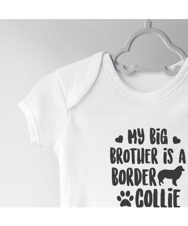 Hippowarehouse Border Collie Big Brother Baby Vest - Short Sleeve Bodysuit for Boys and Girls - Buy Online on GoSupps.com