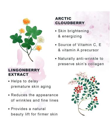 Lumene Ajaton Nordic Ageless Eye Cream - Anti Aging Formula for Fine Lines & Wrinkles - Dark Circle Eye Cream for Firming & Moisturizing (15ml) - Buy Online on GoSupps.com