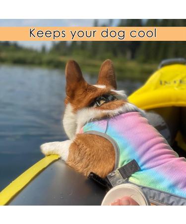 Buy XL Rainbow Dog Cooling Vest | Breathable Cooling Coat for All Dog Sizes - Adjustable Mesh Design - Buy Online on GoSupps.com