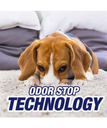 Resolve Pet Carpet Stain Remover 96 fl oz - 6 x 16 oz Bottles - Carpet Cleaner - Buy Online on GoSupps.com