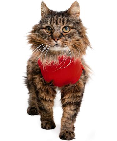 MPS Medical Pet Shirt Cat Surgery Recovery Suit Red XX-Small XXS - Buy Online on GoSupps.com
