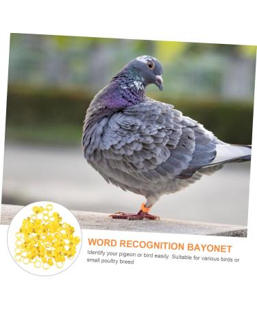 Kisangel 200 Pcs Pigeon Anklet Where Tag Pigeon Deterrent Spray Foot Ring for Pigeon Number Baby Pigeon Ring 1.3X1.3CMx2pcs Yellowx2pcs - Buy Online on GoSupps.com