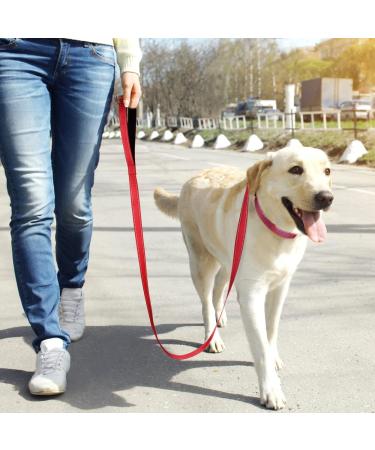 Tagme Personalized Reflective Dog Collar for Large Dogs - Embroidered Nylon with Pet Name & Phone Number - Red XL (1 Pack) - Buy Online on GoSupps.com