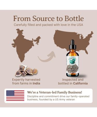 Organic Moringa Seed Oil - Bella Terra Oils | Cold-Pressed Facial Elixir | 2 oz | High in Vitamins A C & E for Radiant Beauty - Buy Online on GoSupps.com