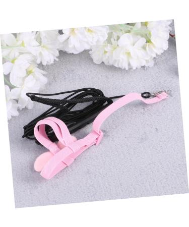 Angoily Dreses Leash Budgie Harness Engraved Dog Tag Bird Leg Ring Pet Harness Strap Walk The Dog Budgerigar 200*10*1.5cm Pink - Buy Online on GoSupps.com