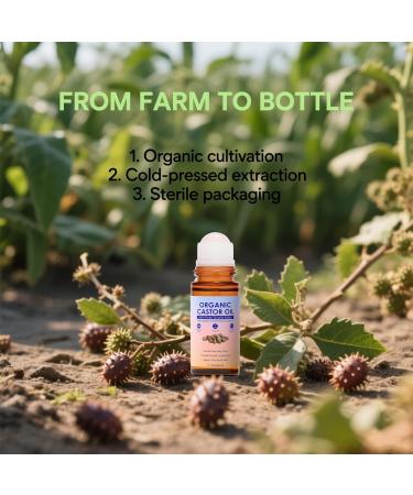Gliowia Organic Golden Castor Oil Roll-On | Pure Cold Pressed Castor Oil for Hair Growth Eyebrows Eyelashes & Skin Care | Unrefined Glass Bottle Pack Hexane Free Vegan - Buy Online on GoSupps.com