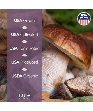 Organic Chaga Tincture for Vitality, Healthy Aging & Healing - 30-60 Servings - Alcohol-Free Extract - CURE MUSHROOMS - Buy Online on GoSupps.com