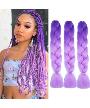 Eugenia Ombre Color Purple Braiding Hair Synthetic Hair Extensions for Braiding Kanekalon Braiding High Temperature Fiber Crochet Twist Braids (Ombre Purple-3 Packs) 24 Inch (Pack of 3) D&L purple