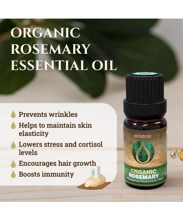 Certified Organic Rosemary Essential Oil 10ml - 100% Pure Therapeutic Grade for Aromatherapy, Massage & Hair Care | Includes e-Book - Buy Online on GoSupps.com