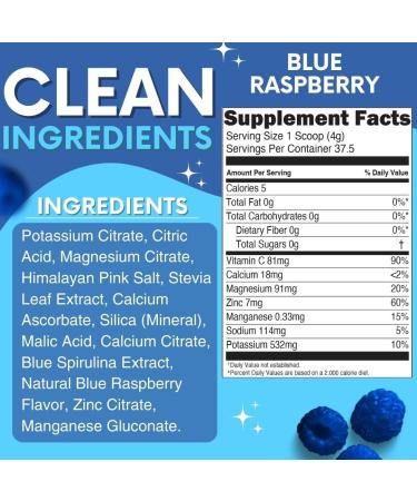 Zero Sugar Blue Raspberry Electrolyte Powder | Caffeine-Free Hydration | Vegan Keto & Paleo | 37 Servings - Buy Online on GoSupps.com