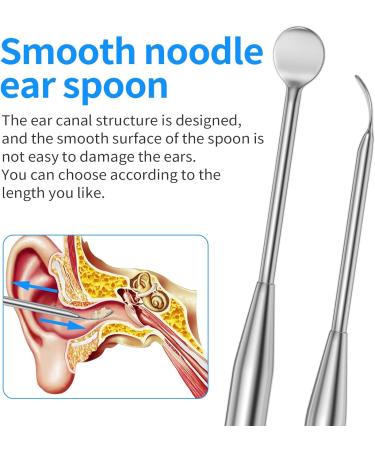 16PCS Stainless Spiral Ear Wax Removal Kit - Professional Ear Cleaner with Clean Brush and Metal Case - Buy Online on GoSupps.com
