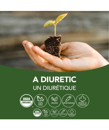 St Francis Herb Farm - Horsetail (Equisetum arvense tops) Herbal Tincture Extract - Horsetail is traditionally used in Herbal Medicine as a diuretic for mild irritations of the urinary tract - 50 ml - Buy Online on GoSupps.com