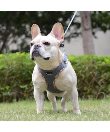 Doramio Small Dog Harness with Leash - Reflective Breathable Anti-Pull Safety Harness for Small Dogs & Cats - Perfect for Step-In Use (Gray Size S) - Buy Online on GoSupps.com