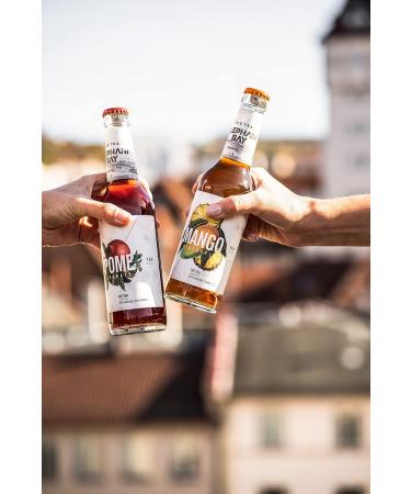  Mixcompany.de Bar & Glas Elephant Bay ICE TEA Elephant Mango Iced Teas 330ml Each with Locker - Multi Purpose - 24 Pack - Buy Online on GoSupps.com